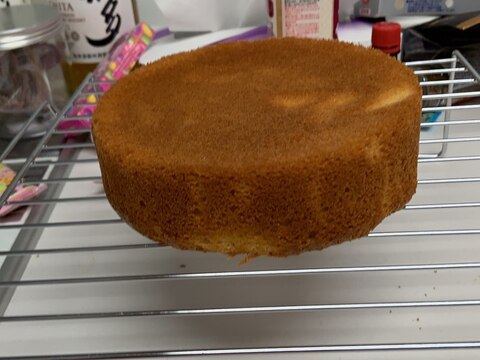 スポンジケーキ 15cm/18cm